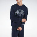 Buzo Reebok Arch Shadow Crewneck